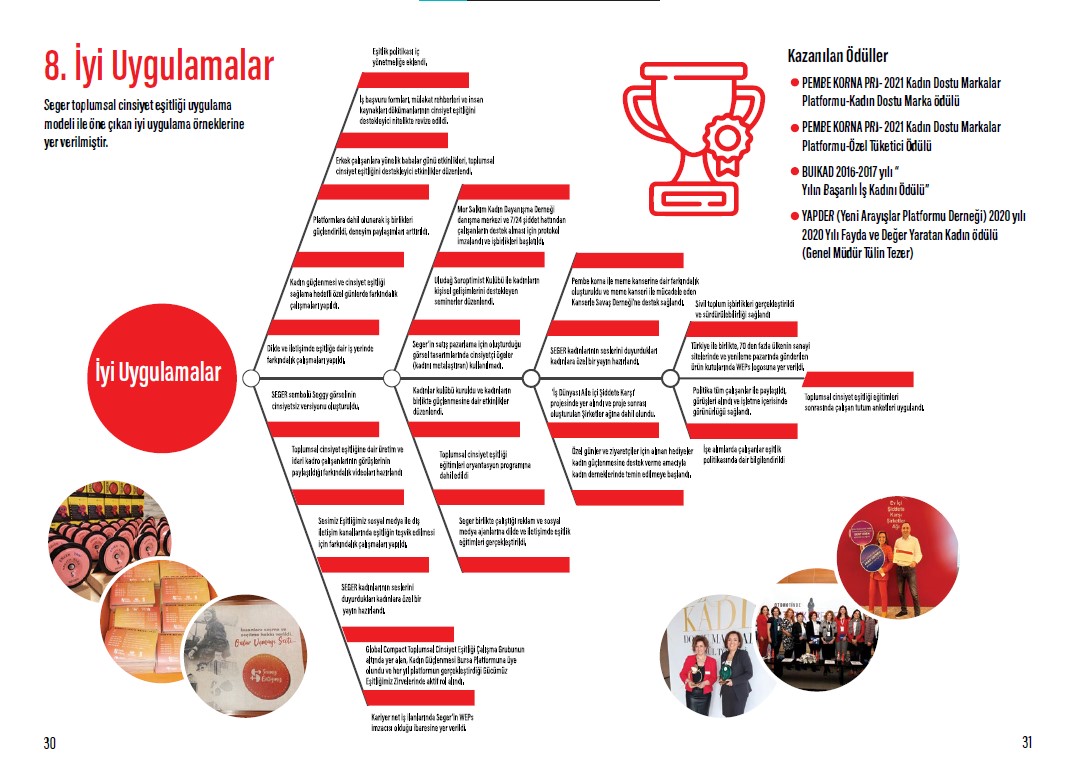 Toplumsal Cinsiyet Eşitliği Örnek Uygulama Modeli